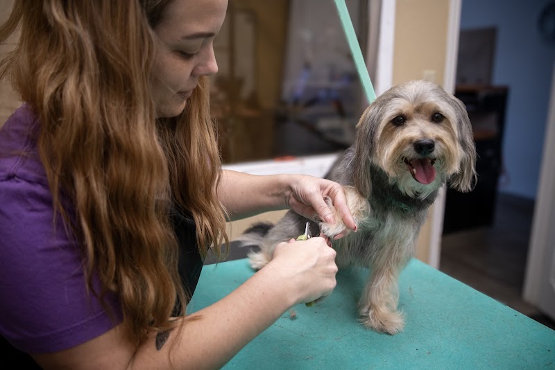 Lucky Dog Pet Retreat & Spa
