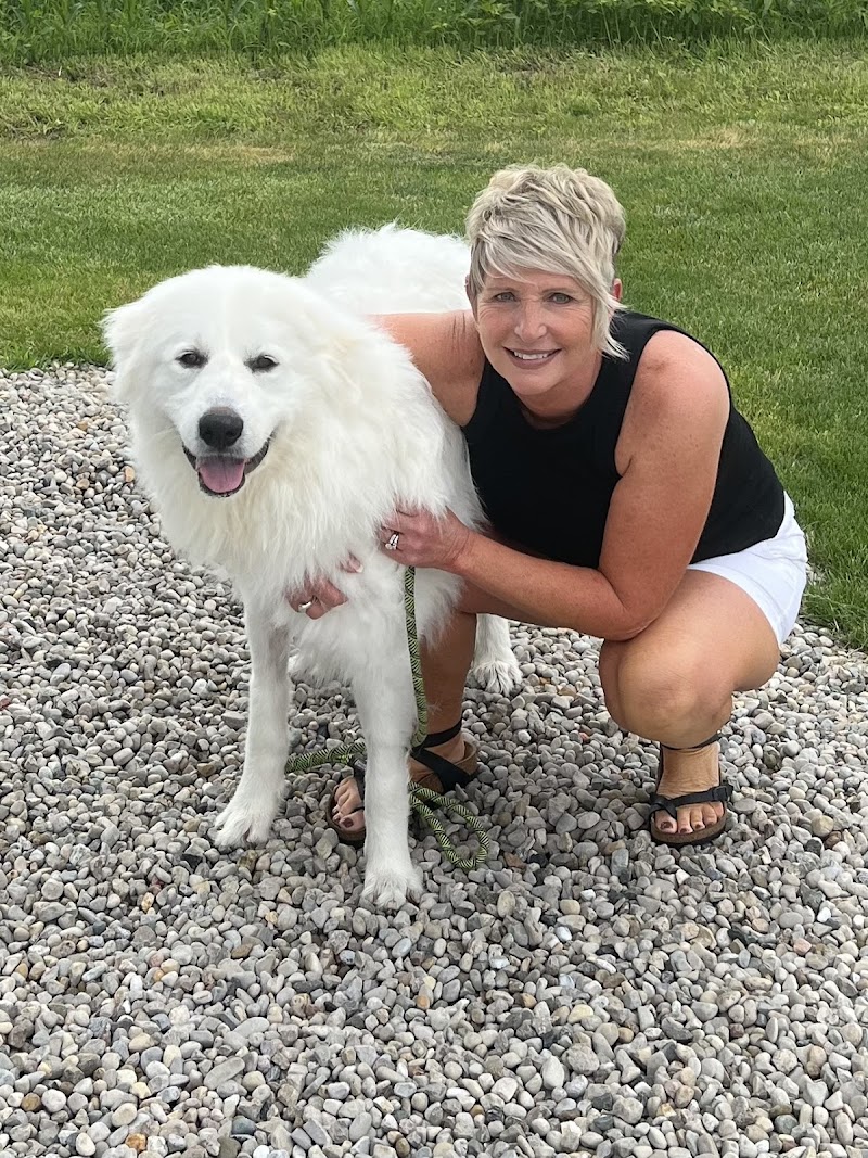 Lucky Mutz Pet Resort