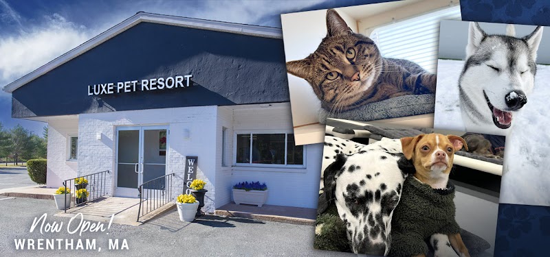 Luxe Pet Resort