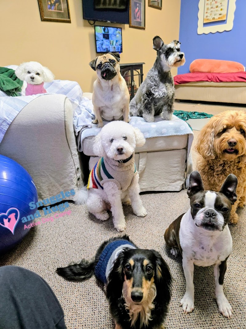 Luxury Dog Daycare & Boarding in Spring Texas | Snuggles & Hugs Active Dog Camp