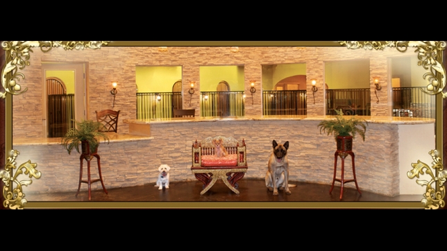 LV Dog Resort