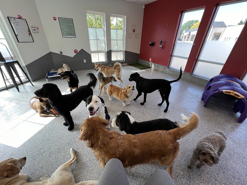 Mac’s Pack Centennial