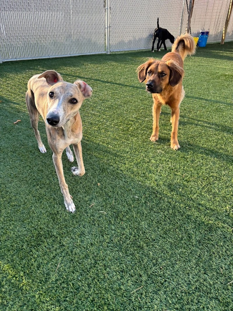 Mac's Pack Englewood