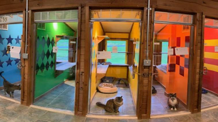Milton Manor Pet Resort & Spa