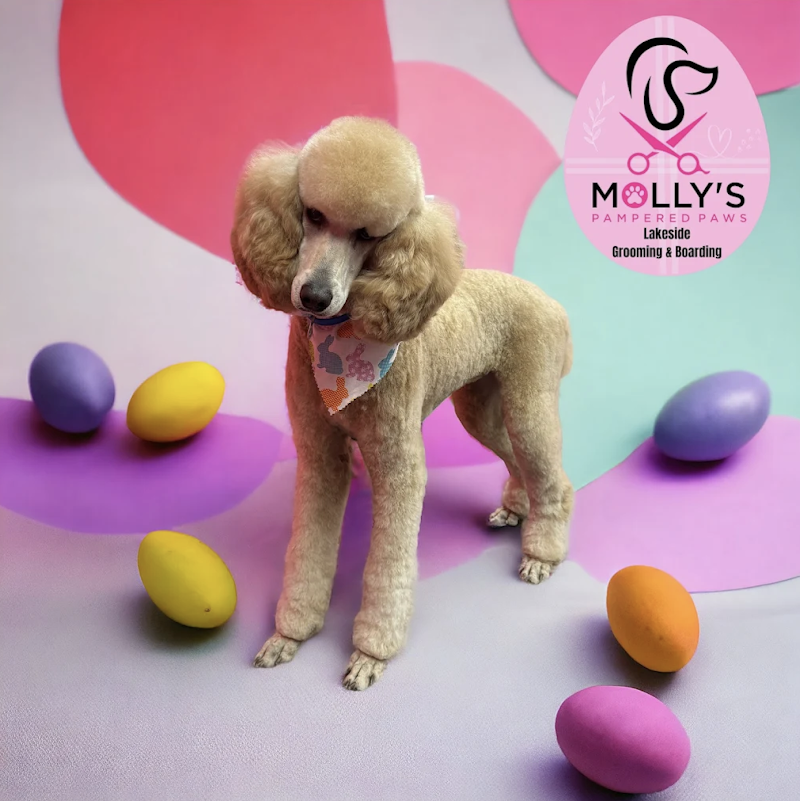 Molly’s Pampered Paws Smithville