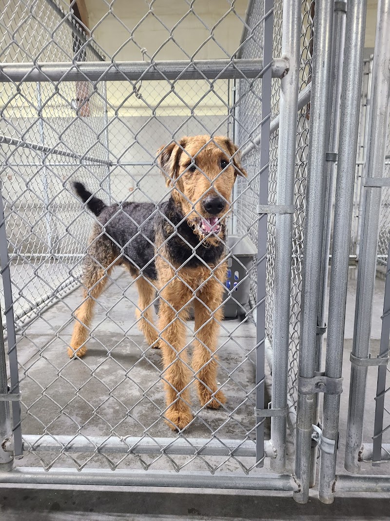 Monkeyshine Kennels