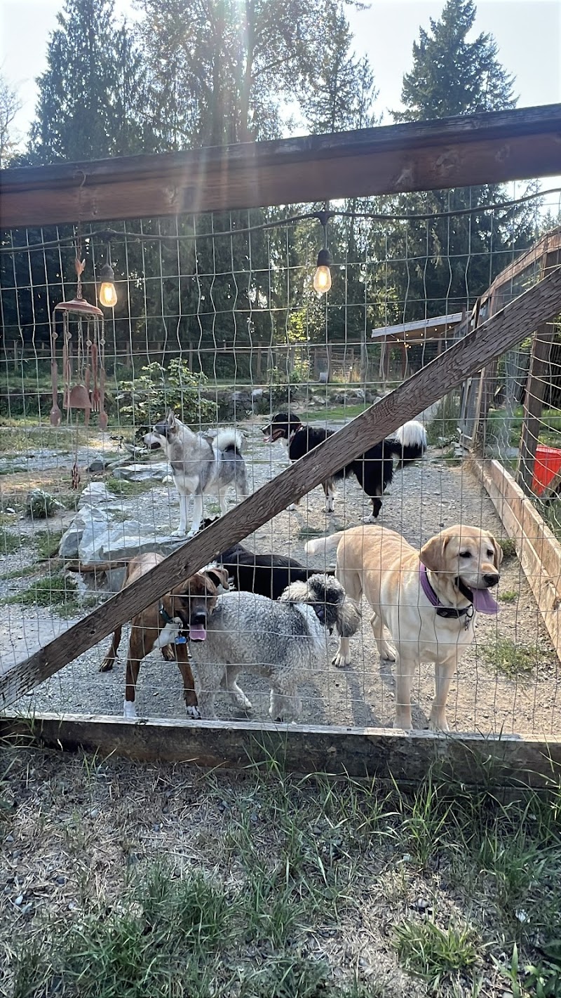 Mountain View Dog Ranch