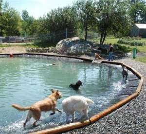 Mountain View Pet Resort