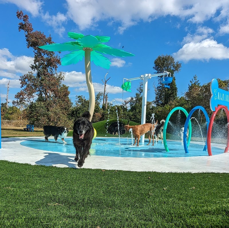 NaJu Pets
