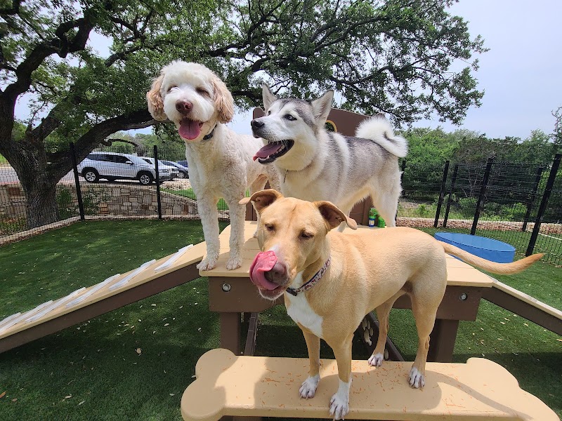 NEST Pet Retreat, Playcare and Spa