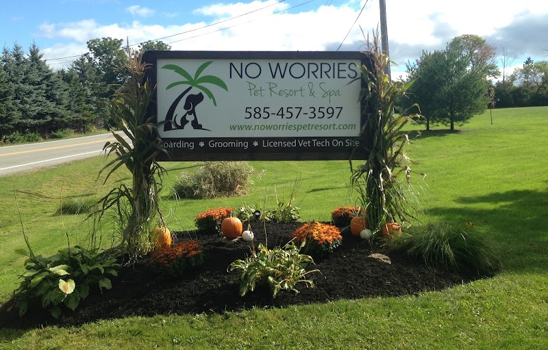 No Worries Pet Resort & Spa, Inc