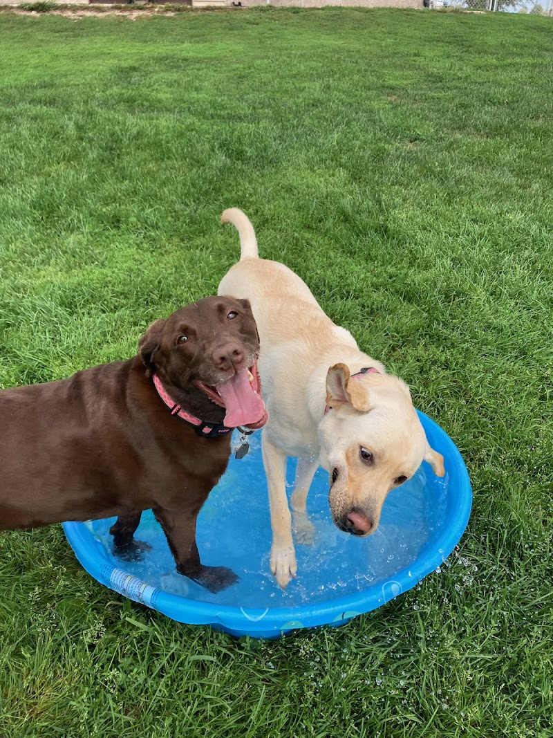 Northern Paws Pet Lodge
