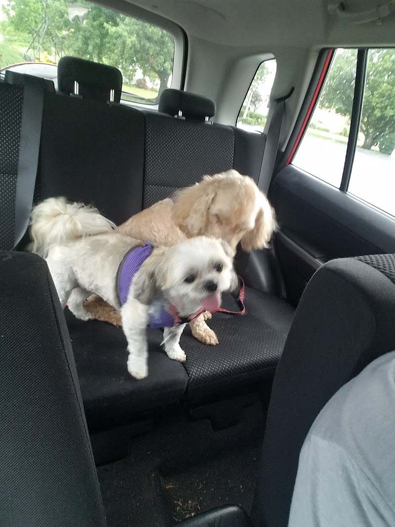 Oscar's Pet Resort of Greenfield, Inc.