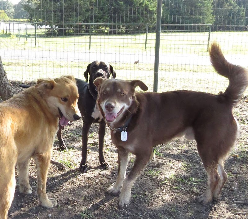 Pace Creek Pet Retreat
