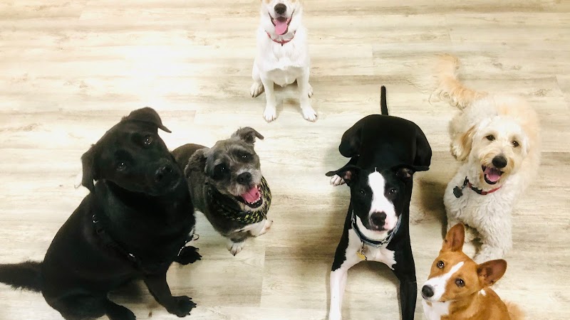Pack Place K9 LLC