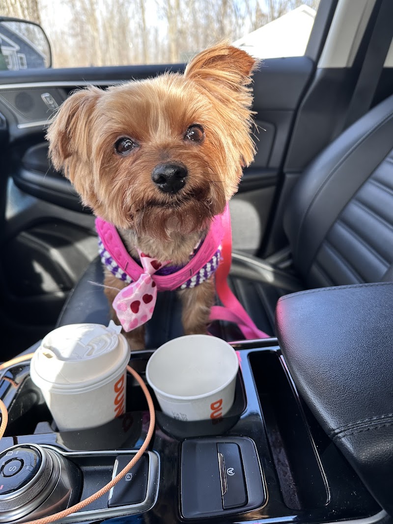 Pampered Paws Boarding and Grooming, LLC