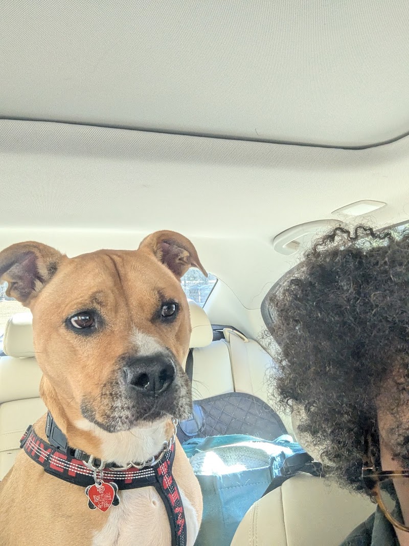 Pampered Pet Resort Inc