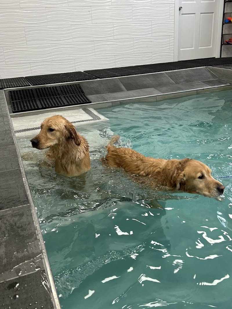 Pampered Pets Resort and Spa