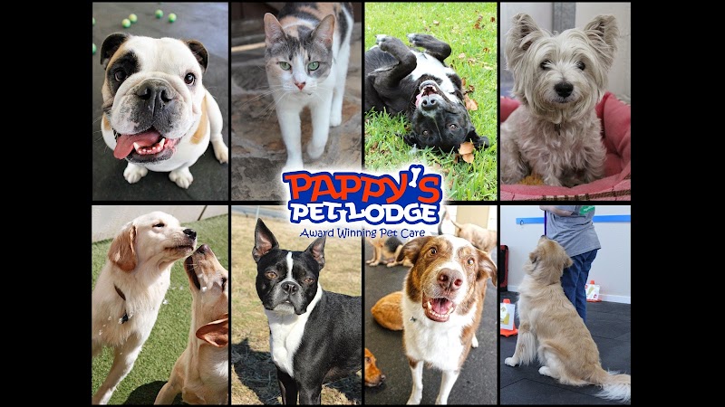 Pappy's Pet Lodge - N. Plano