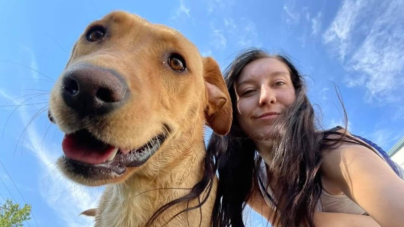 Paradise Pet Resort