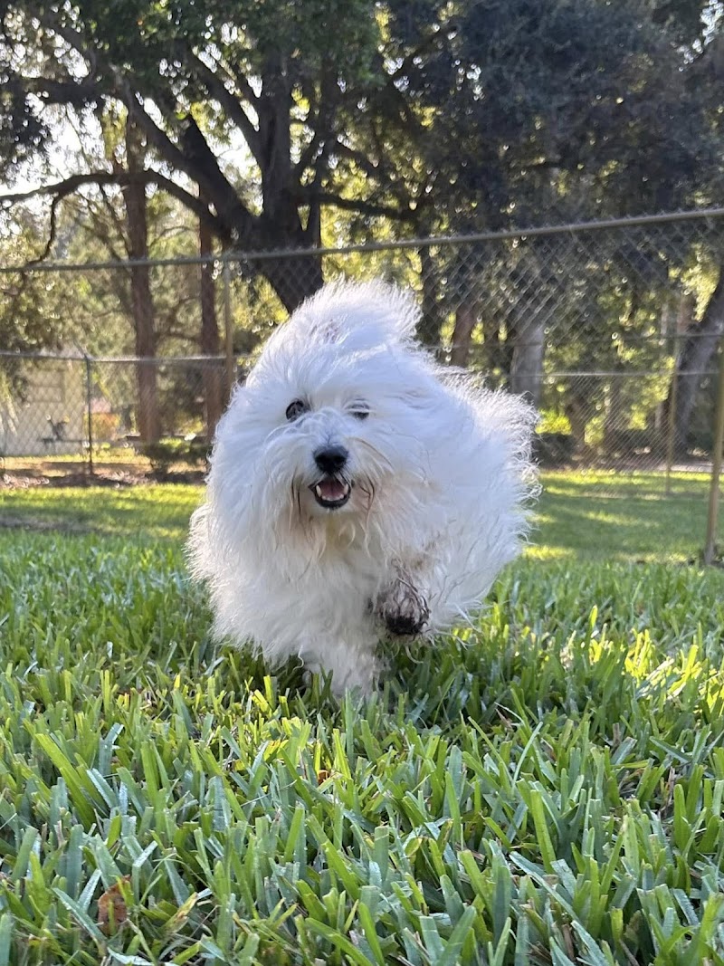 Parkway Pet Resort