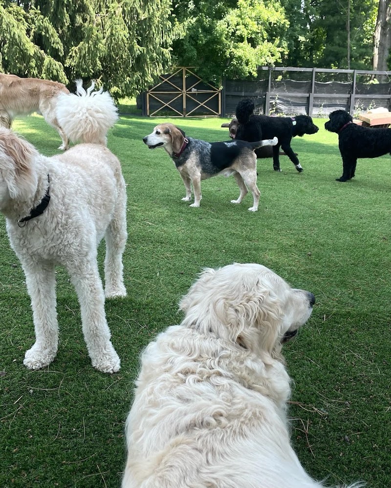 Parkwood Pet Resort West