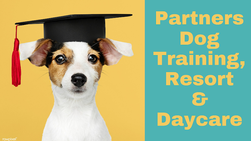 Partners Dog Training, Daycare and Resort