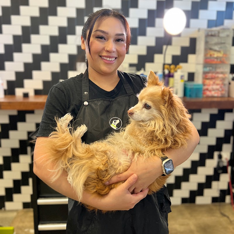 Paw Commons Pet Resort & Training Center - Encinitas