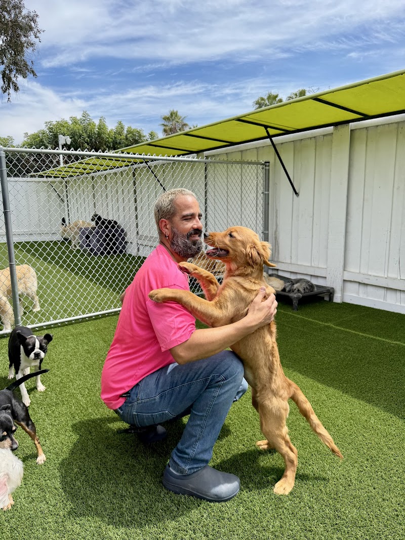 Paw Commons Pet Resort & Training Center - Hillcrest