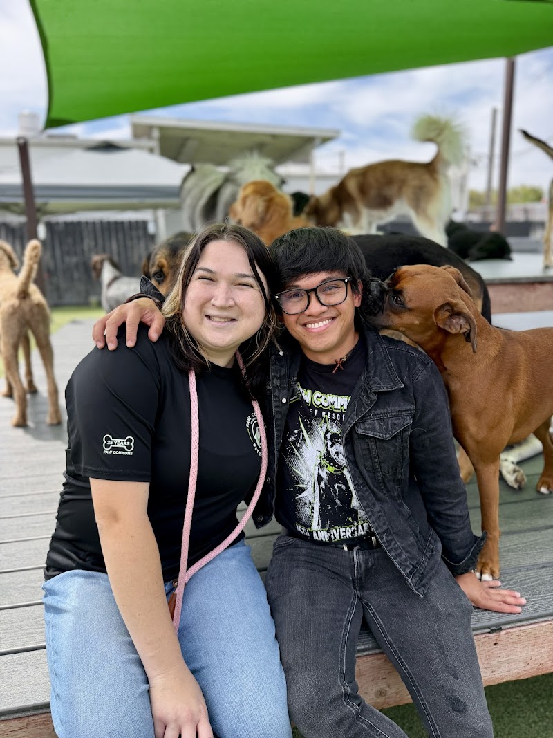 Paw Commons Pet Resort & Training Center - Kearny Mesa