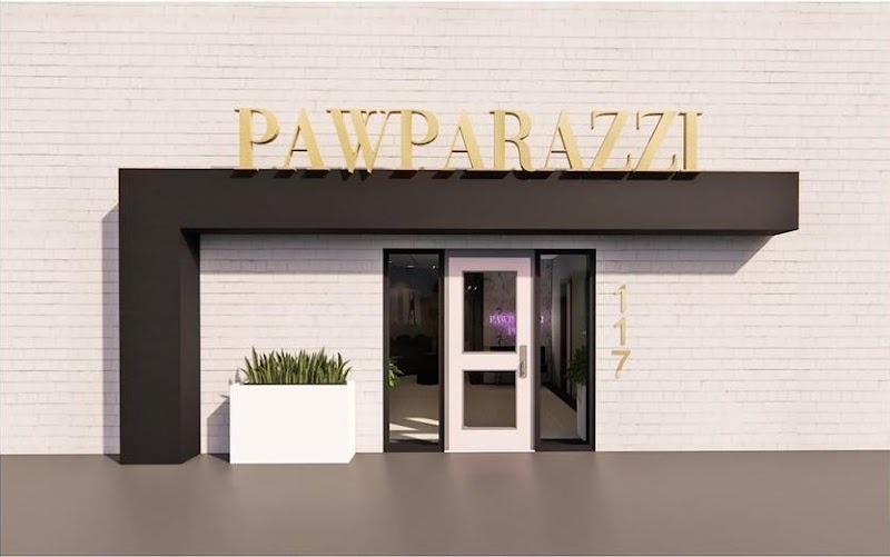 Pawparazzi K9 Enrichment Resort