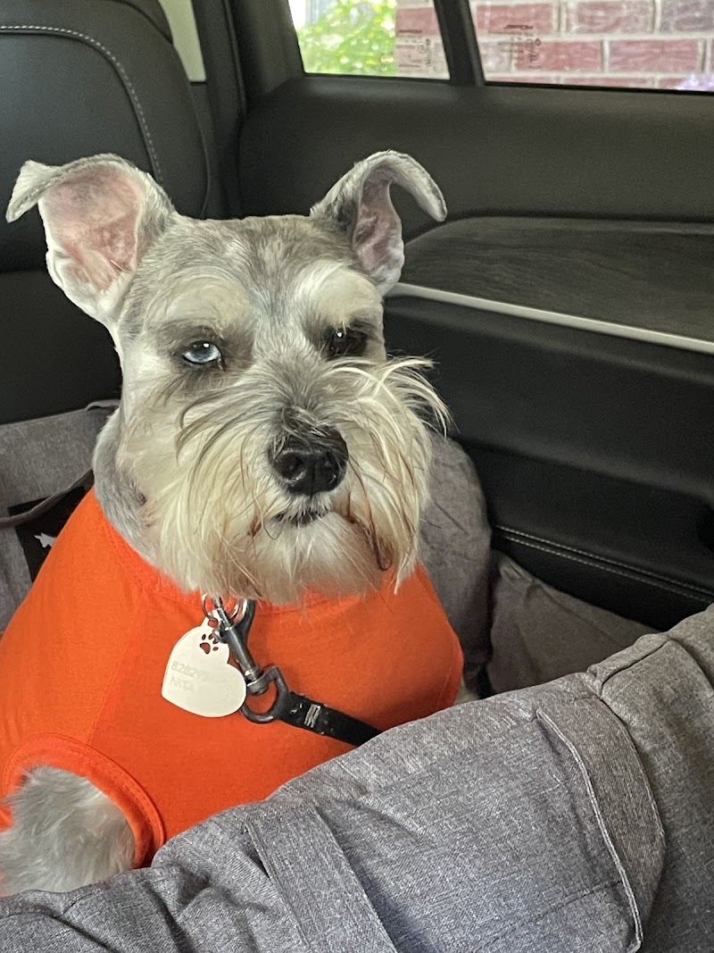 Paws & Claws of Morganton