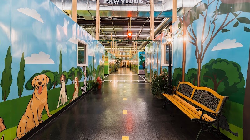 Paws and Claws Pet Care, Inc.