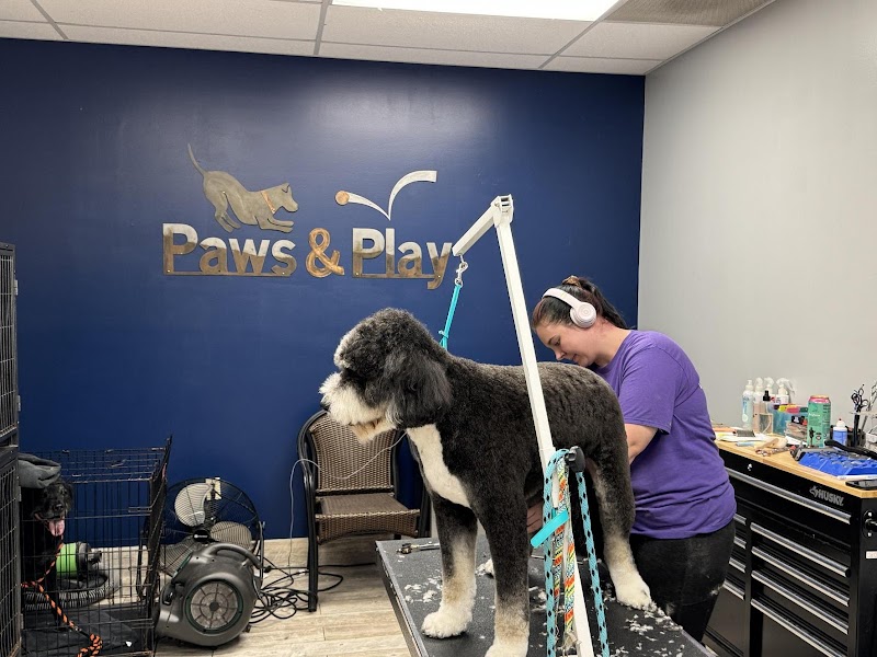 Paws & Play Dog Resort & Training Center