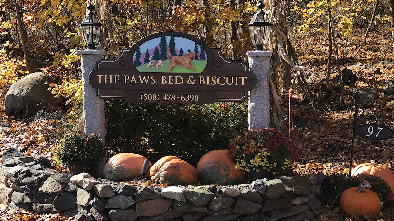 PAWS Bed & Biscuit