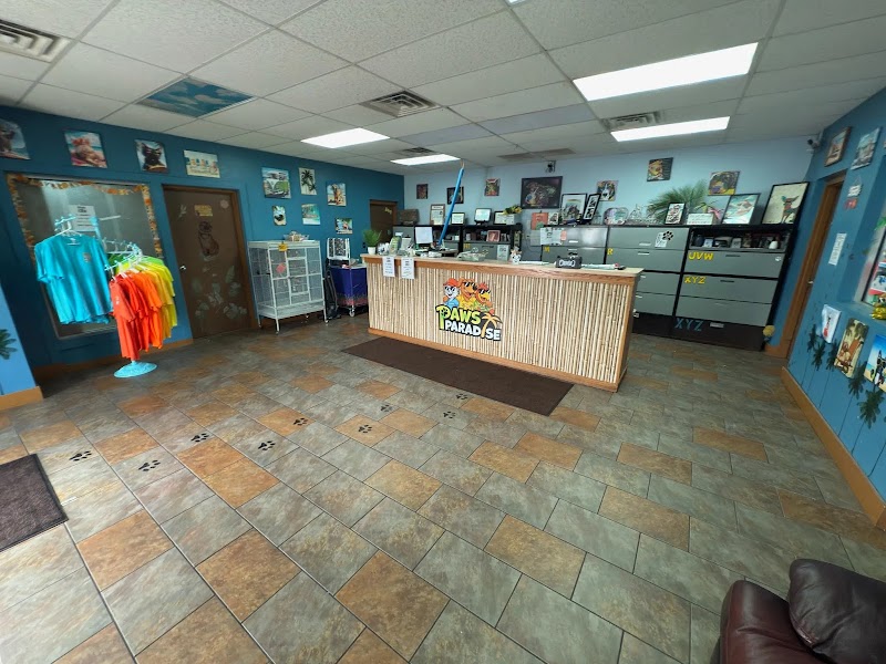 Paws Paradise, LLC