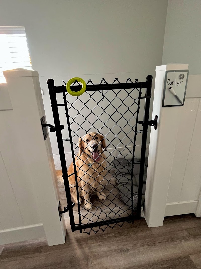 Paws Retreat