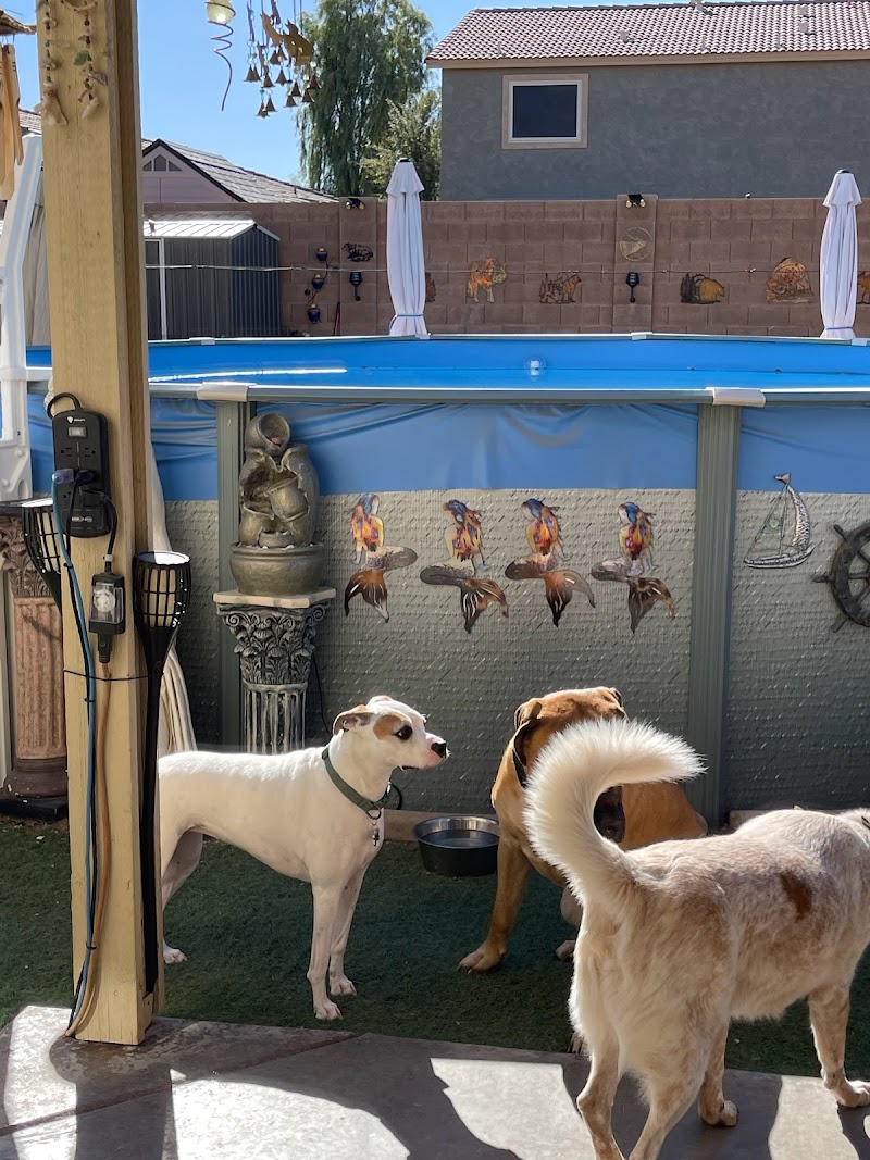 Pawsitively Loved Luxury Services (PLLS)