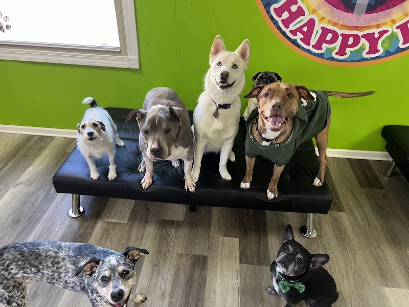 Peace, Love, & Happy Pets, LLC