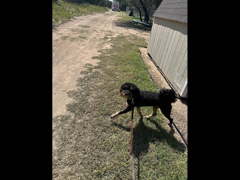 Pet Caddy