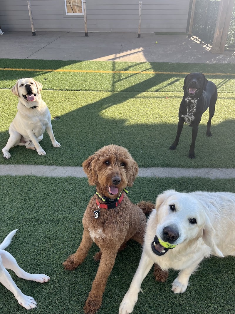 Pet Lodge & Spa of Reidville