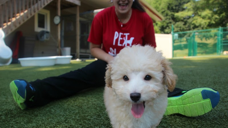 Pet N Play Luxury Pet Resort