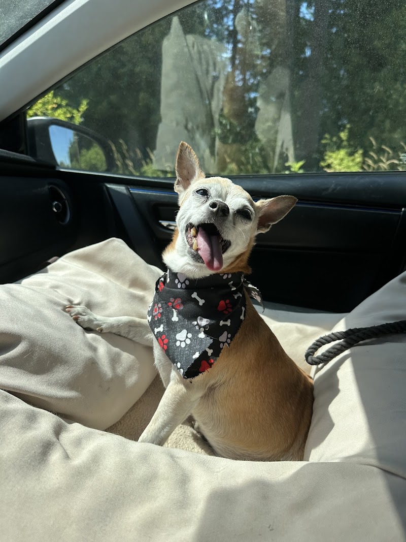 Pet Ponderosa