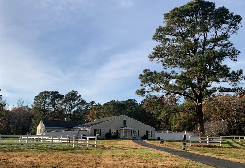 Pet Resort At Greensprings