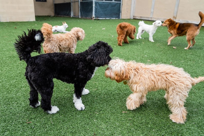 Pet Suite Retreat-Troy