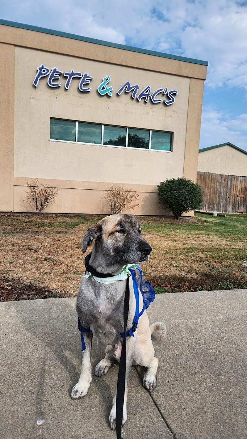Pete & Mac's Pet Resort