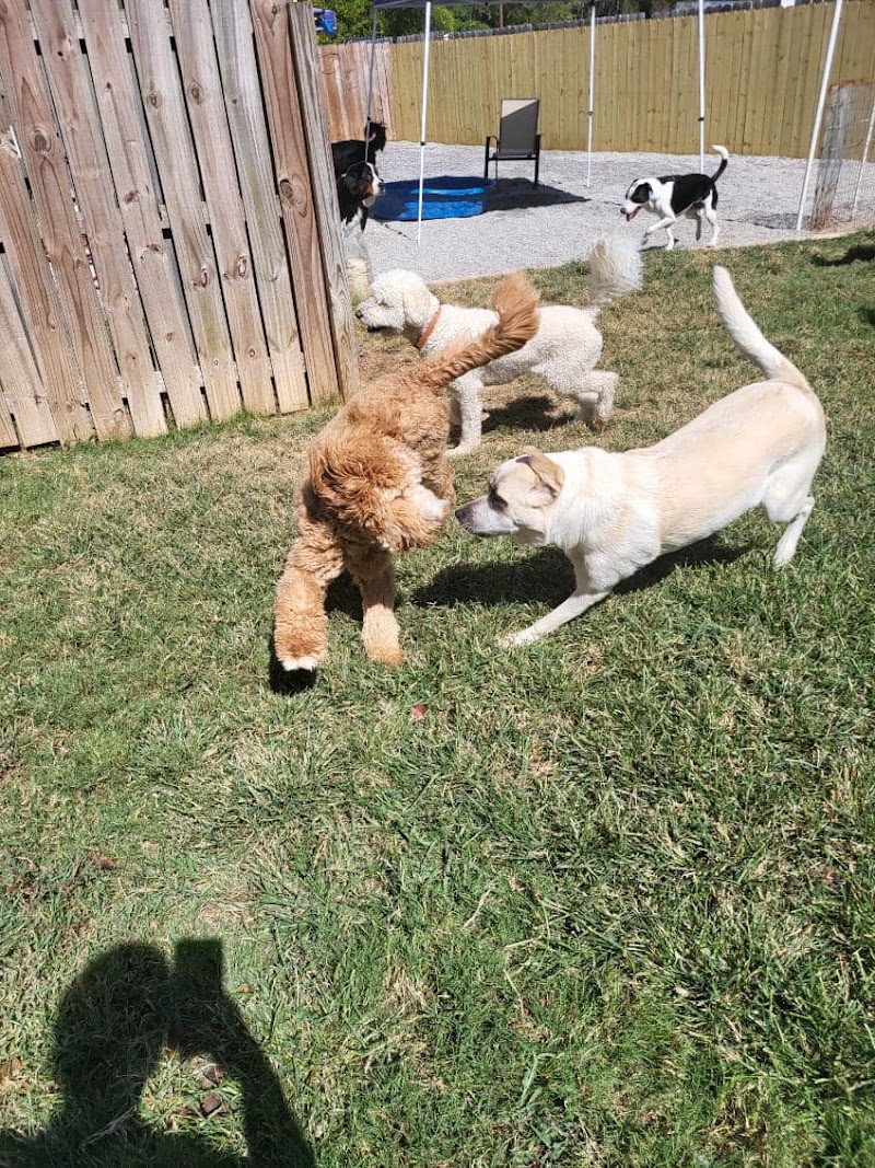 PetQuest Spa & Hotel