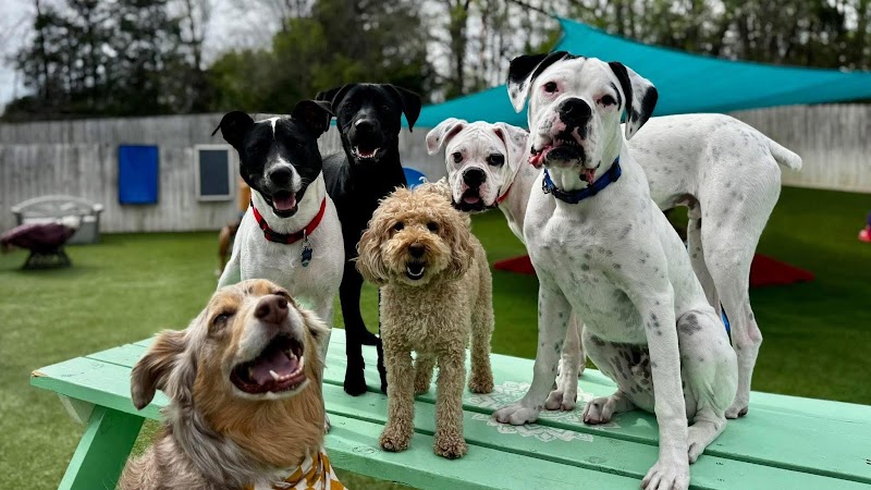 Pleasant View Pet Spa