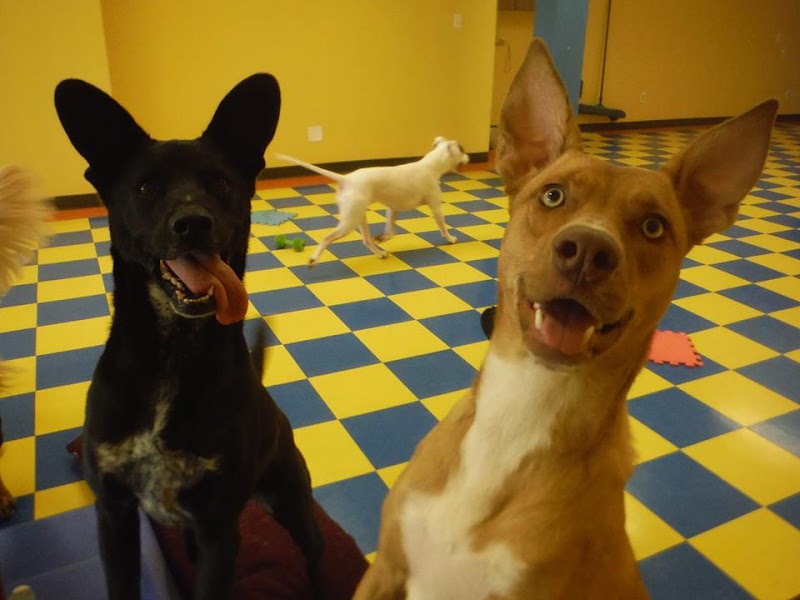 Pocatello Pet Lodge
