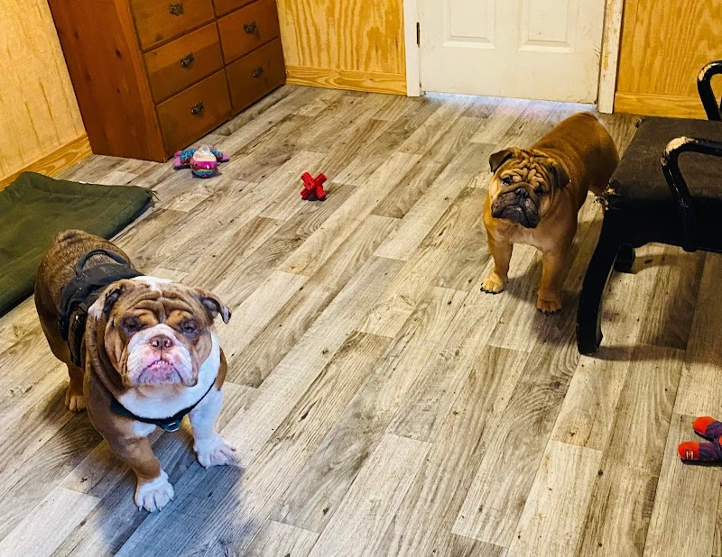 Poderosen pet resort